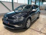 Volkswagen Golf VII Alltrack 2.0 TDI Aut.4M Xenon Navi Pano - Volkswagen Golf: Alltrack
