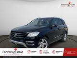 Mercedes-Benz ML 350 CDI 4MATIC BlueTec Schiebedach, AHK - Mercedes-Benz Ml