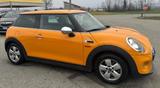MINI One 1.5 One D POCHI KM!!!! - MINI MINI: Gelb