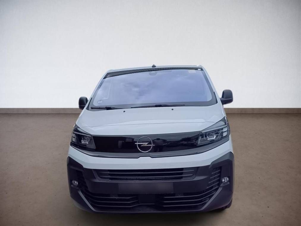 Fahrzeugabbildung Opel Vivaro Basis Kasten