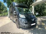 Peugeot Equitrek 1-2 Pferde 150 PS - Gebraucht Tier-/Pferdetransport 2 pferde
