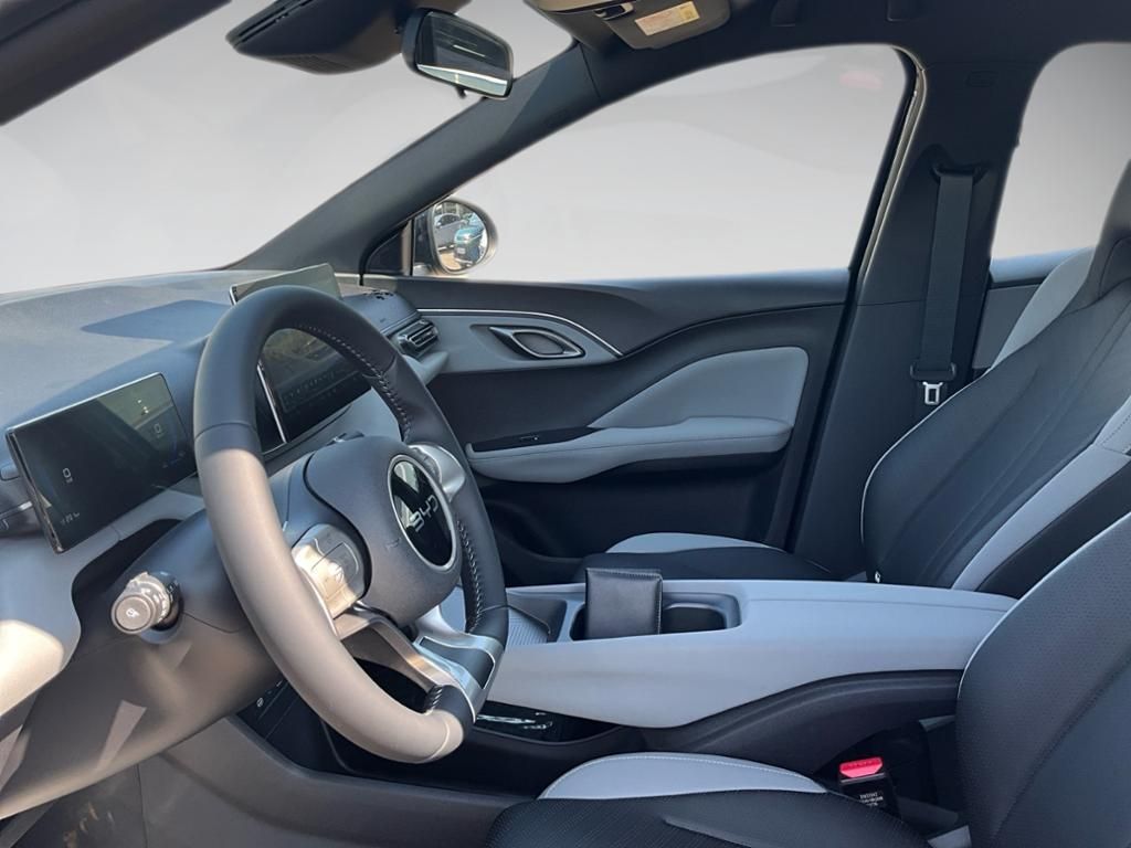 BYD DOLPHIN SURF