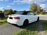Audi S5 3.0 S tronic quattro Cabrio - Steuerkette NEU - Audi S5 aus 2010: Cabrio