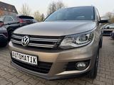 Volkswagen Tiguan Life BMT 4Motion/Aut./88.000km/Navi/Kamer - mit Diesel-Antrieb: Beige, Geländewagen