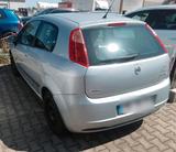 Fiat Grande Punto Zahnriemen + Anlasser Ne... - Fiat Grande Punto in Essen
