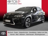 Lexus UX 200h KLIMA LM-Felgen BT ZV SERVO A USB MAL - Lexus UX in Essen