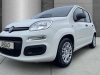 Fiat Panda - Vorschau Bild 4