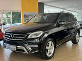 Mercedes-Benz ML 350 CDI BlueTec*AMG-LiNE*Bi-XEN*KAMERA* - Mercedes-Benz: AMG Ml