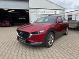 Mazda CX-30 SKYACTIV-X 2.0 M Hybrid SELECTION - Mazda Gebrauchtwagen in Halle
