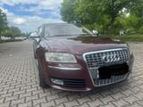 Audi S8 5.2 tiptronic quattro - - Audi S8 mit Benzin-Antrieb: Limousine, 5.2