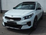Kia XCeed Platinum Edition 1Hand Vollaussattung - Kia XCeed Platinum mit Diesel-Antrieb