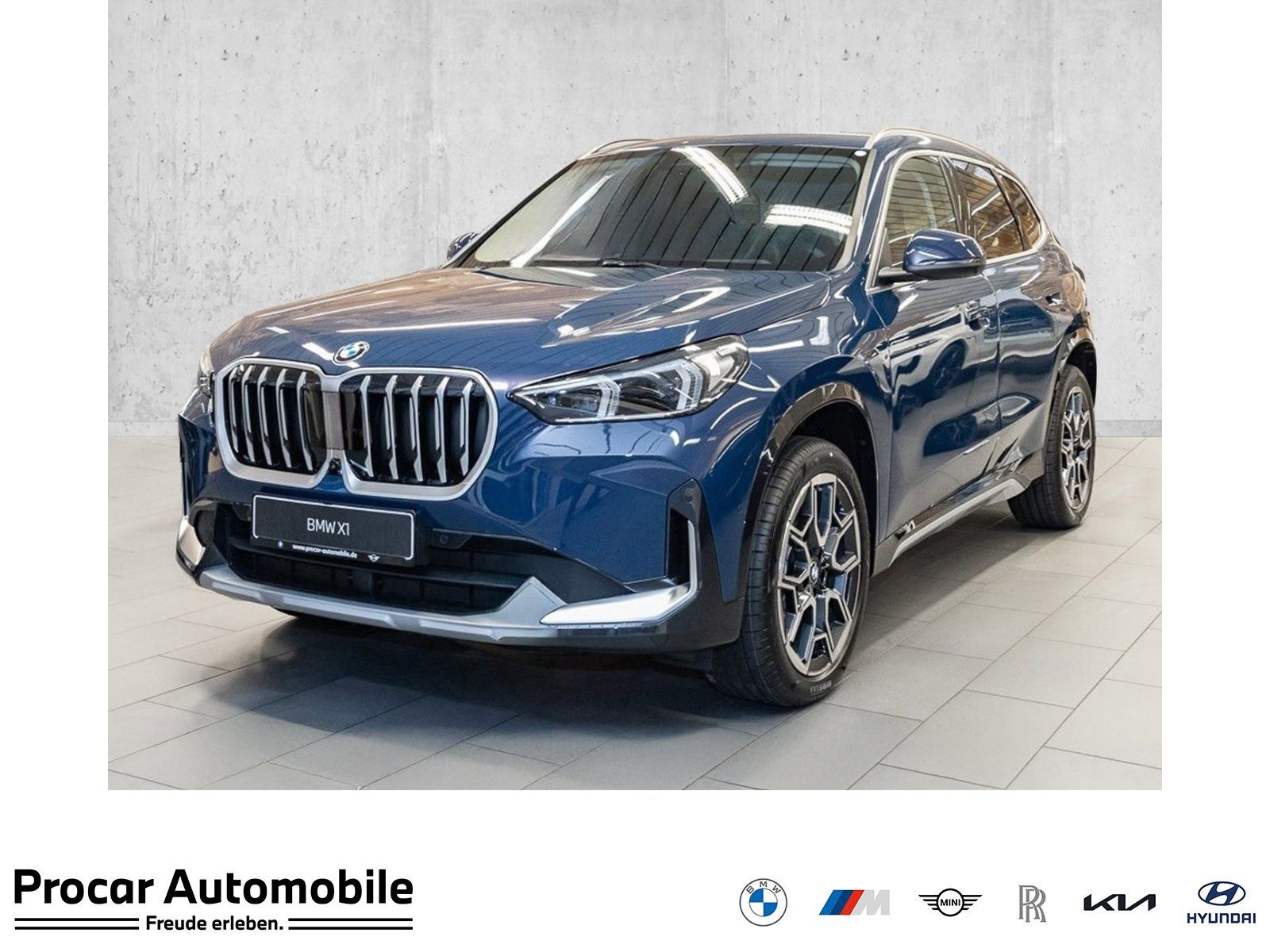 BMW X1 sDrive20i xLine HUD ACC AHK RFK NAVI LED DAB
