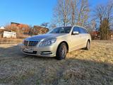 Mercedes-Benz E 220 CDI T BlueEFFICIENCY Top gepflegt - Mercedes-Benz E 220: Beige