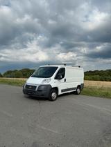 Fiat Ducato - Fiat Ducato in Bonn