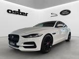 Jaguar XE P250 HSE | Dynamic|Blackpack|Keyless|Matrix - Jaguar XE: Hse