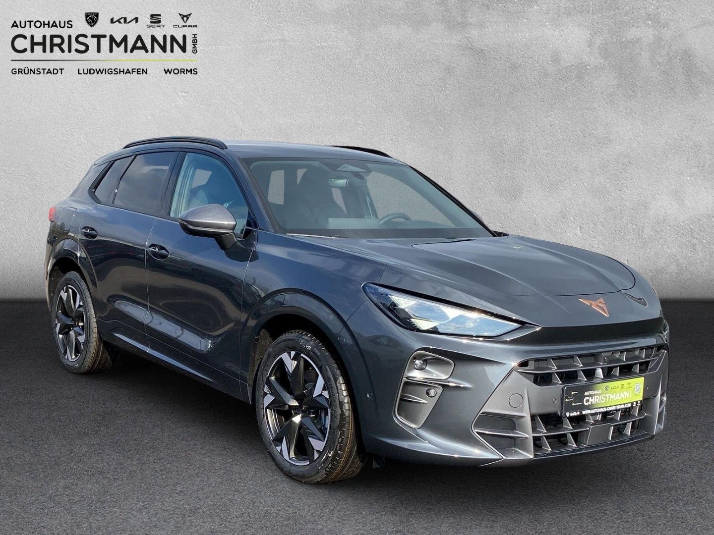 Fahrzeugabbildung CUPRA Terramar 2.0 TSI 4Drive*NAVI*HUD*Seenheiser*