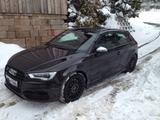 Audi S3 8V / 3-türig, Belugabraun, Glanzpak. schwarz - Audi S3: Alcantara