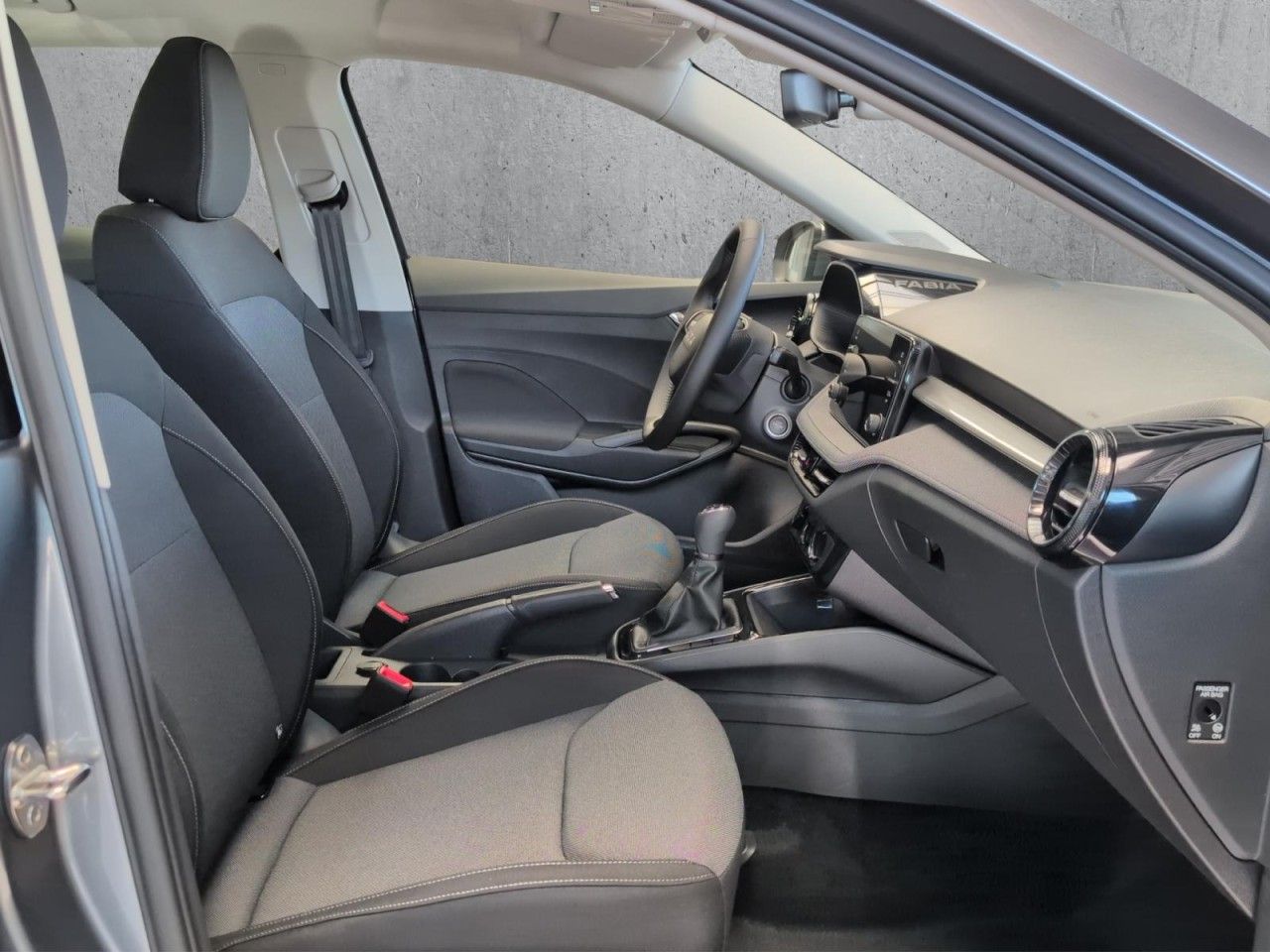 Fabia Selection 1.0 TSI Klima Einparkhilfe
