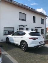 Alfa Romeo Stelvio 2.0 Turbo 16V 206kW First Edition AT... - Alfa Romeo Stelvio First-Edition mit Benzin-Antrieb
