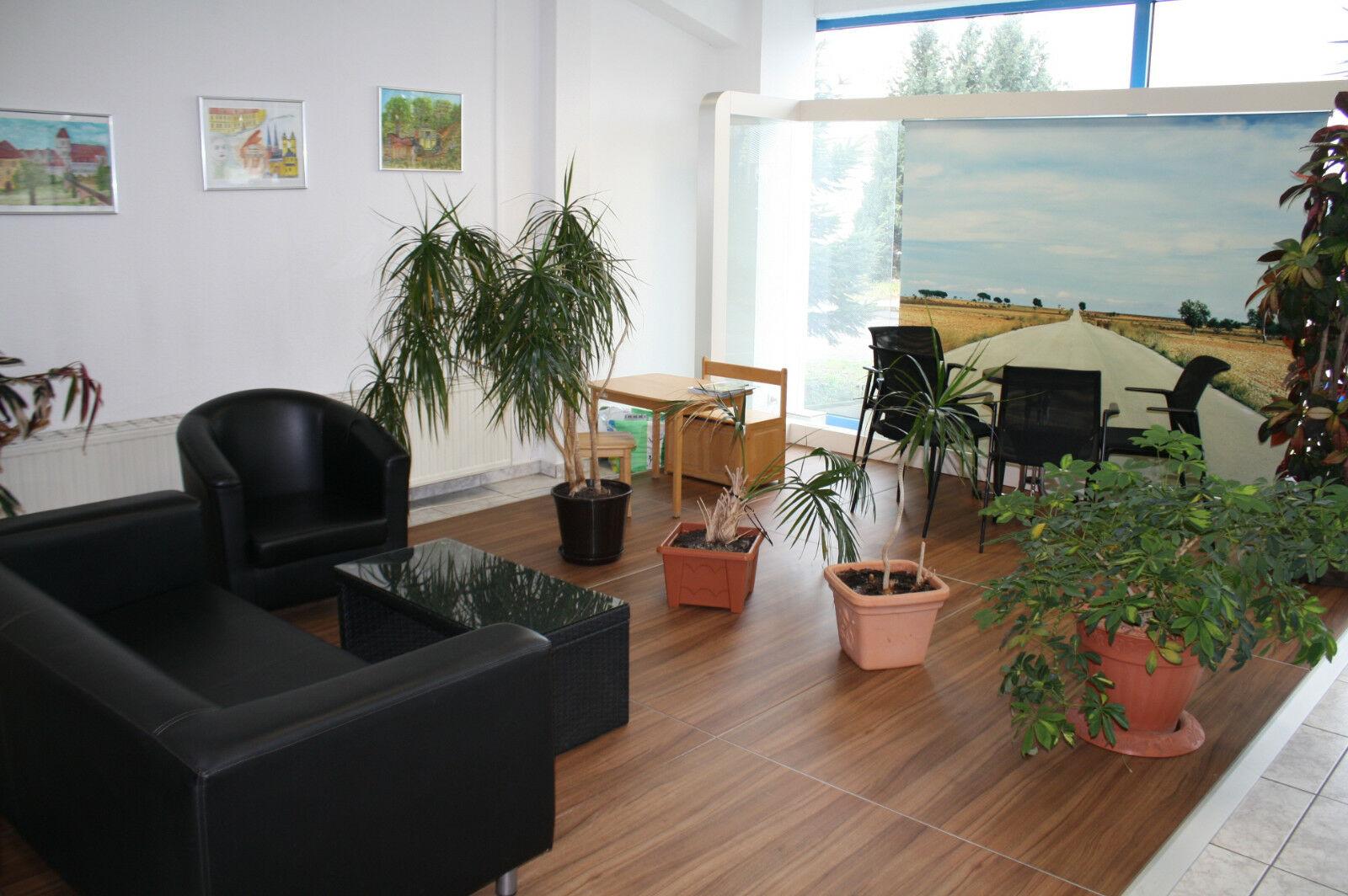 showroom-image-main