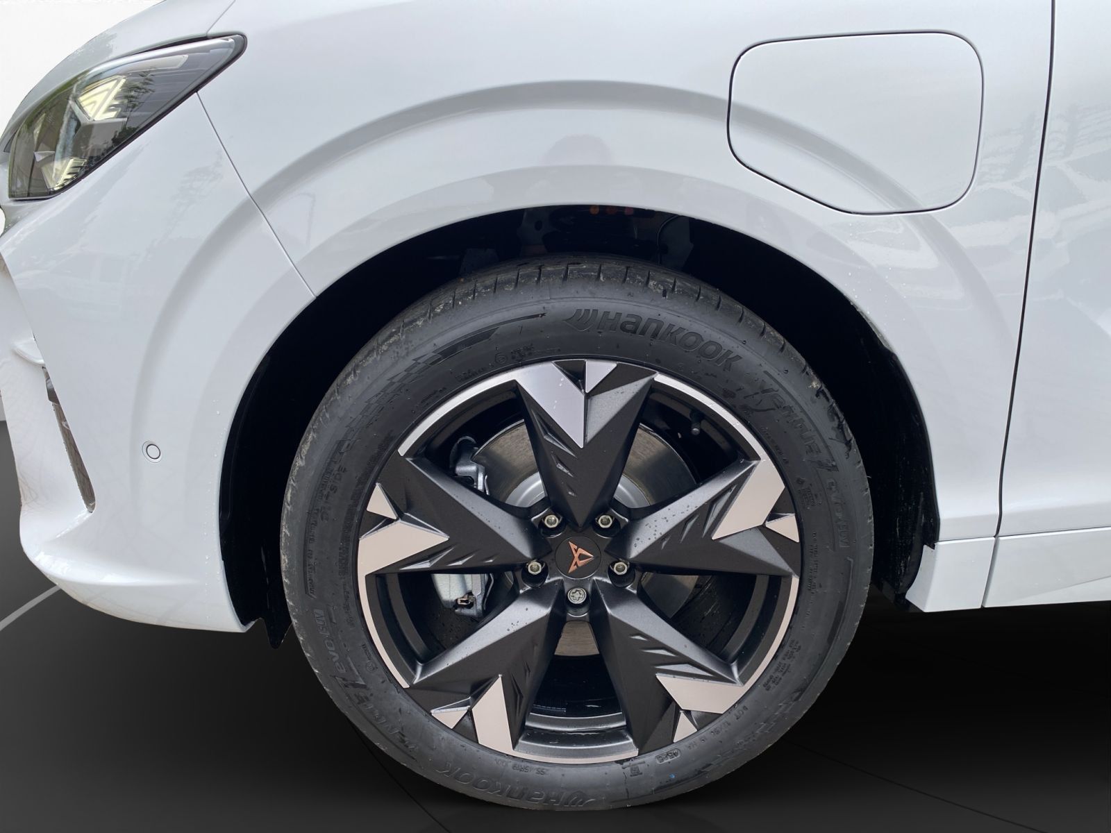 Cupra Terramar - Bild 22