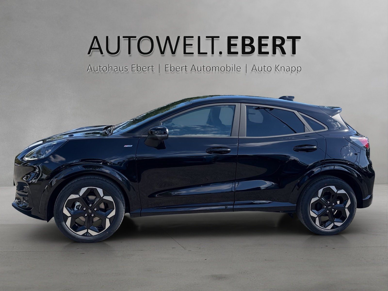 Ford Puma ST-Line X LED Matrix 19Zoll Winter Paket imagem 2