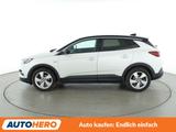 Opel Grandland X 2.0 CDTI Dynamic Aut.*BiLED*CAM*SHZ* - Opel Grandland (X) mit Diesel-Antrieb