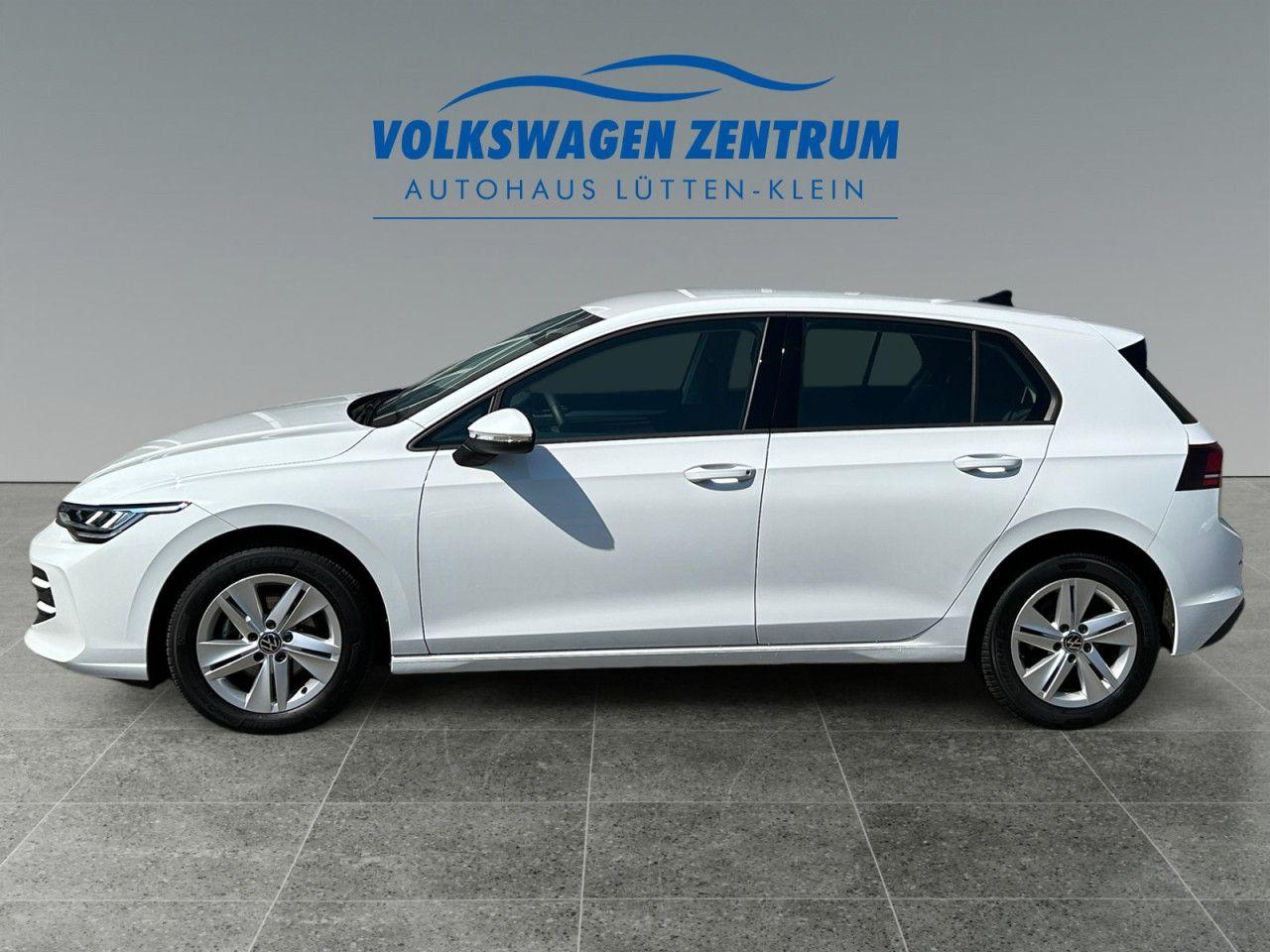 Volkswagen Golf VIII 1.5 TSI Goal,SHZ,GJR,APP,LED,ACC, миниатюра 2