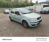 Fiat Punto 1.2 8V Dynamic - Fiat aus 2003
