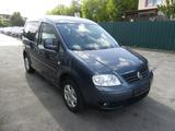 Volkswagen Caddy Life Gewinner Caddy - Volkswagen Caddy: Gewinner