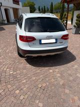 Audi A4 Allroad 2.0 TDI S tronic quattro - Bussines + - weiße Audi A4 Allroad