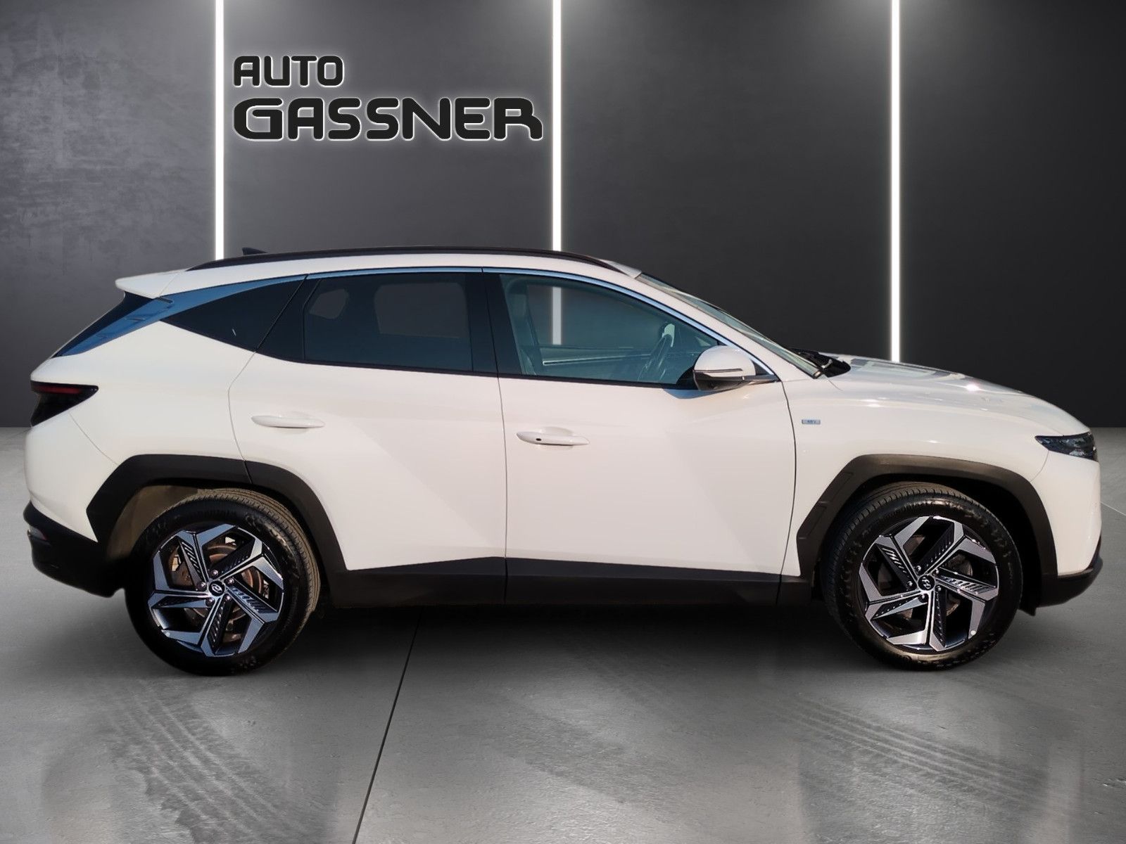 Fahrzeugabbildung Hyundai Tucson 1,6 CRDI Prime DCT 4WD Assip.+ ECS