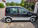 Fiat Panda - gebrauchte Fiat Panda aus dem Jahr 2006