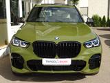 BMW X5 M50i Sonderlack 22" Laser Carbon Diama Bowers - BMW X5: Grün