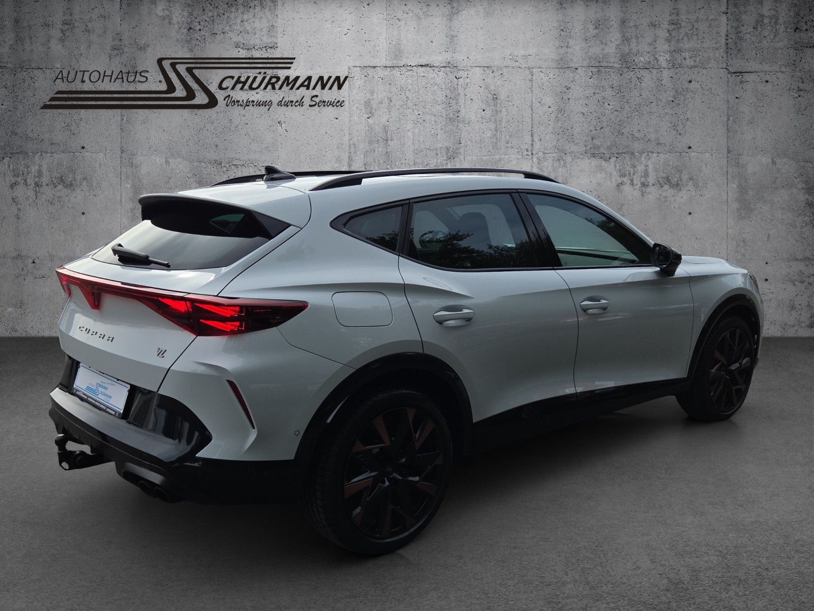Formentor VZ 4Drive 2.0 TSI 245kW DSG Pano AHK