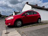 Fiat FIAT Punto  1. Hand, unfallfrei, SH - Fiat Punto in Bonn