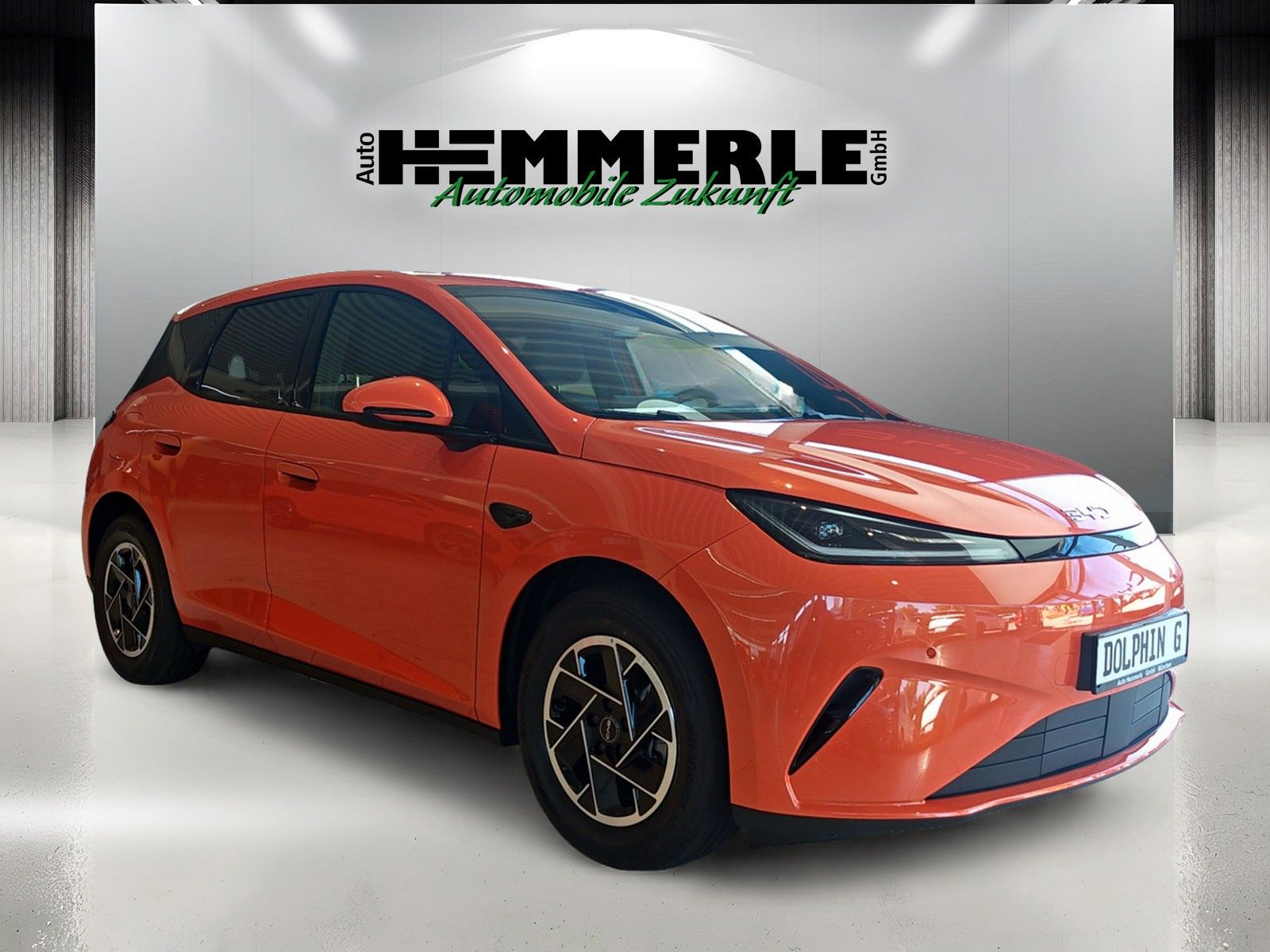 BYD DOLPHIN
