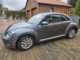 Volkswagen VW Beetle (Typ 5C) mit TÜV. 49.775 KM Unfa... - Volkswagen Beetle 5C