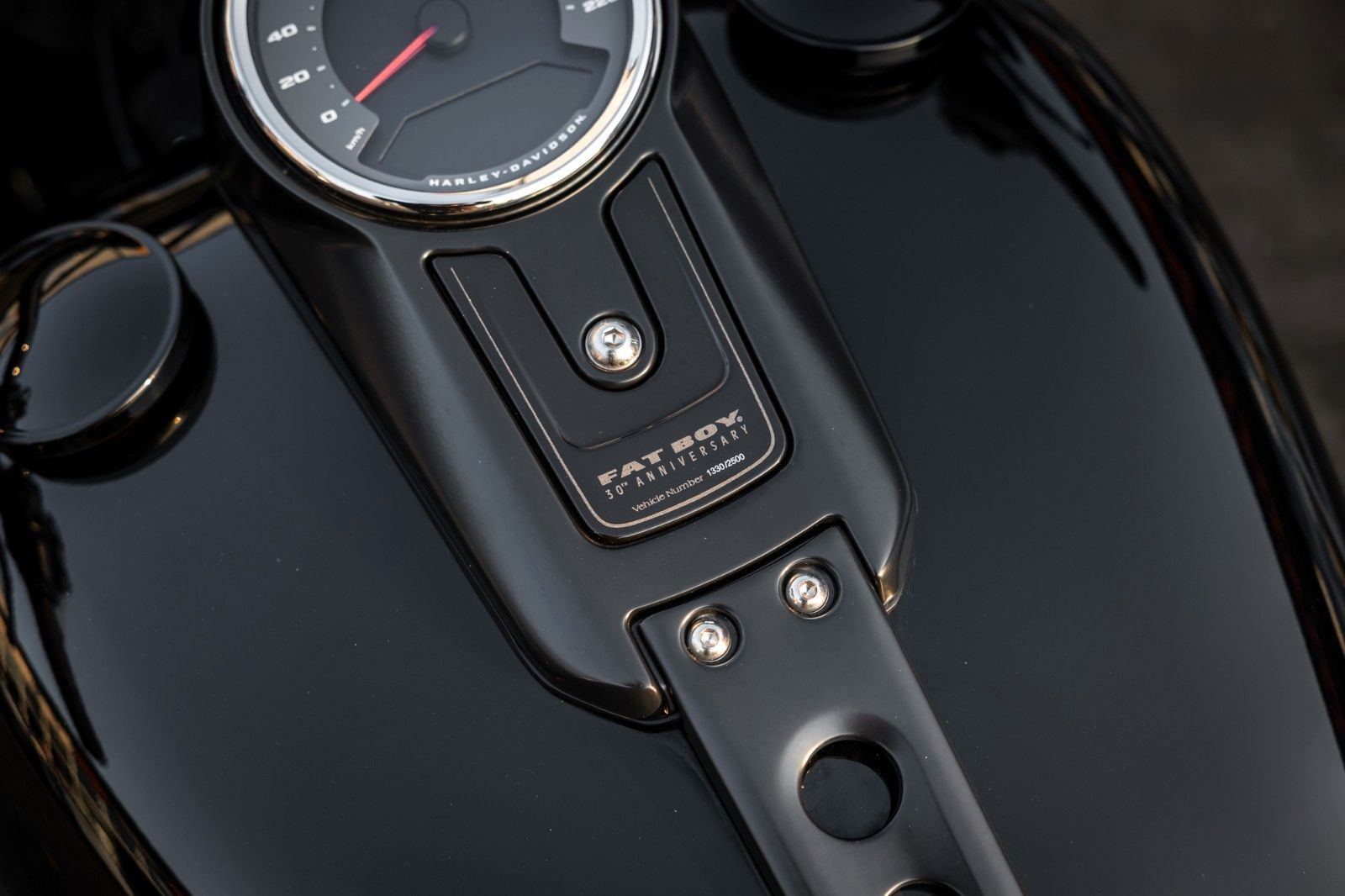 Fahrzeugabbildung Harley-Davidson Softail Fat Boy 30th Anniversary -Jekill & Hyde-