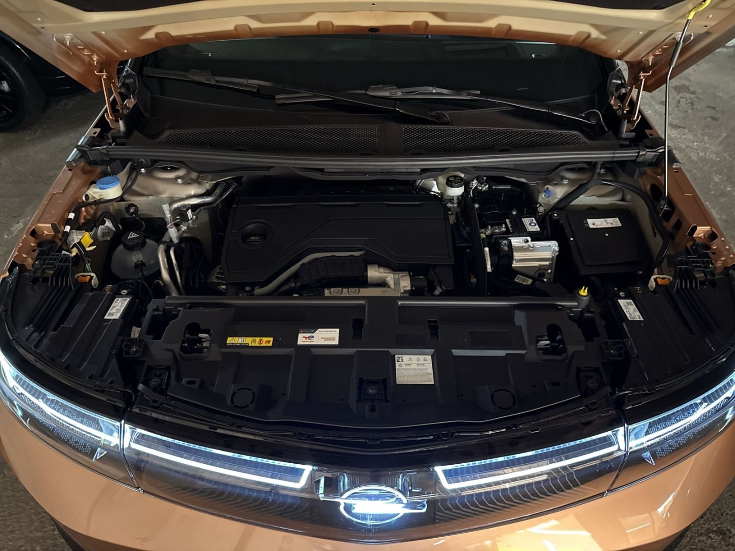 Opel Grandland (X) - Bild 14