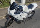 Triumph Daytona T 595 - TRIUMPH T595 DAYTONA