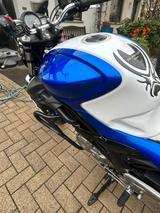 Suzuki Gladius  - SUZUKI GLADIUS