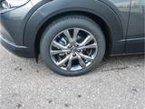 Mazda CX-30 2025 e-SKYACTIV-X 186PS FWD 6GS Exclusive- - Mazda Tageszulassungen