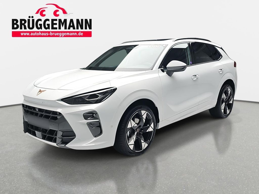 Image of Cupra Terramar