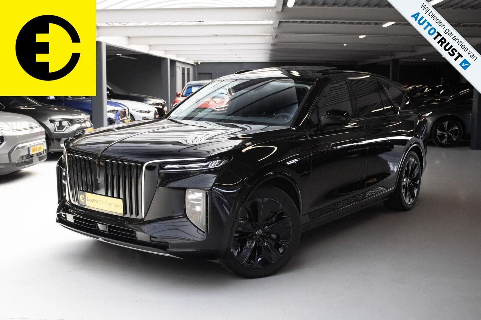 Hongqi E-HS9 Exclusive | 112KWH | SOH 97,7% | Panorama