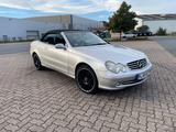 Mercedes-Benz Clk 200 Kompressor AVANTGARDE  - Mercedes-Benz 200: Cabrio, Clk