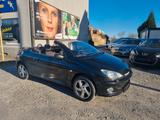 Peugeot 206 Cabriolet CC Platinum - Peugeot 206: Leder