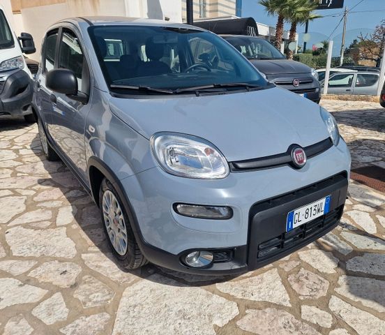 Autres Fiat Panda 1.0 FireFly S&S Hybrid 11/2022