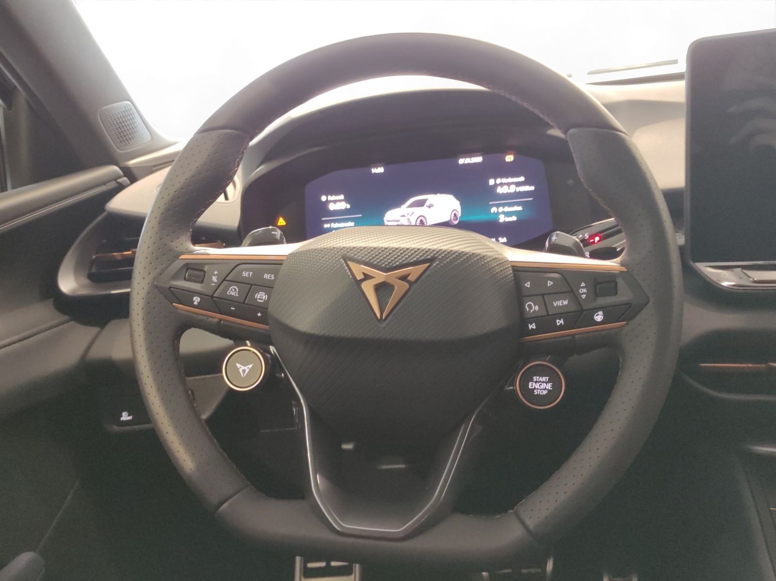 Cupra Terramar - Bild 12