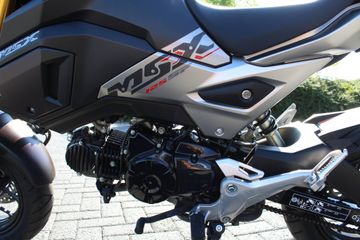 Honda Grom *inkl. Zubehör